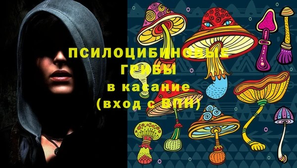индика Верхнеуральск