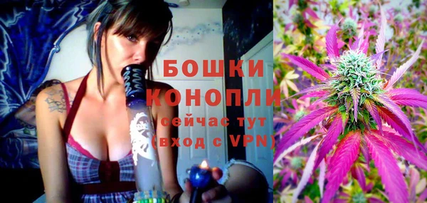 мдпв Верхний Тагил